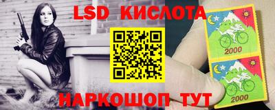 прущие грибы Гусиноозёрск