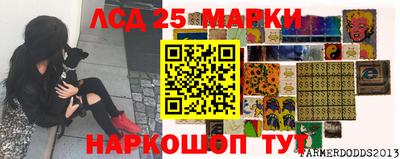 стаф Гусев