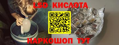 прущие грибы Гусиноозёрск