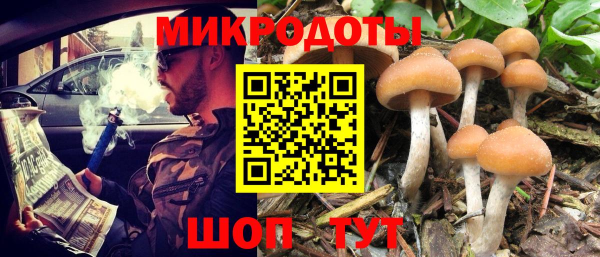 Галлюциногенные грибы MAGIC MUSHROOMS  Вход с VPN  Нижний Новгород 